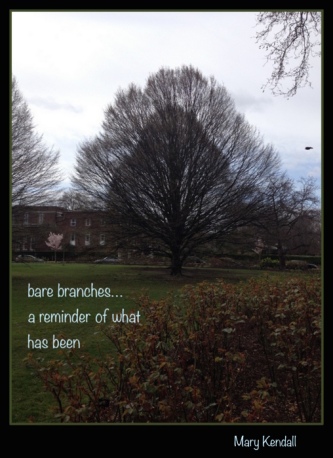 bare-branches-haiga